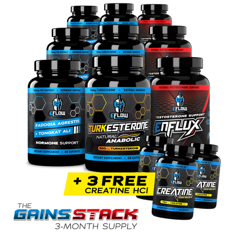 Gains Stack 3-Month Supply